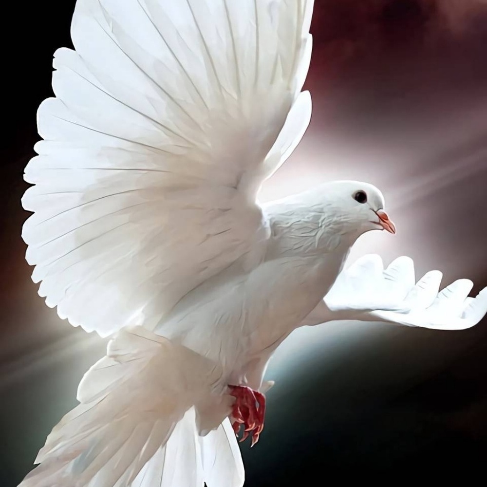 Meet your Posher, Lety